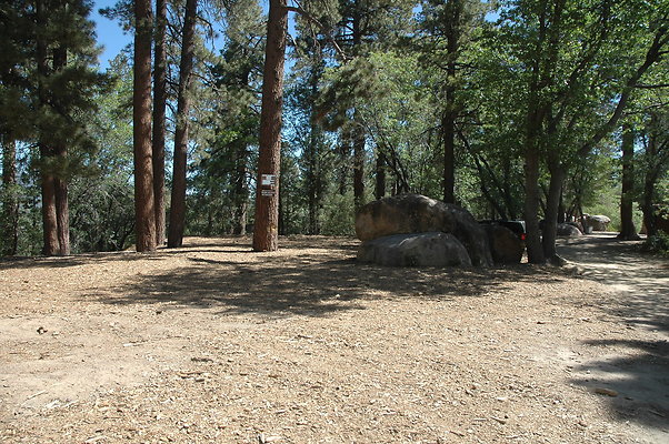 DSC 0010
