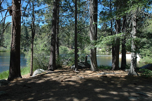 DSC 0048