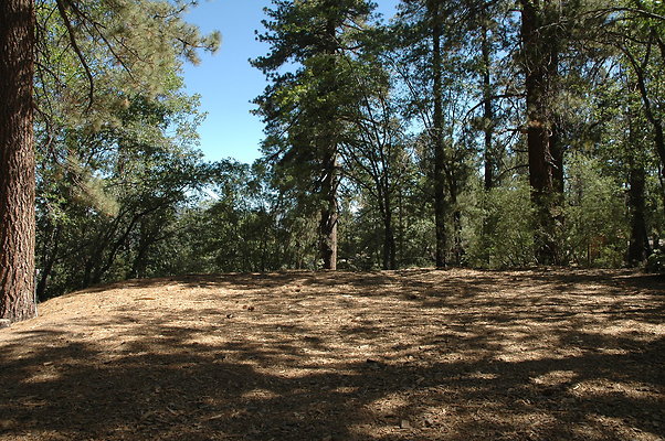 DSC 0002