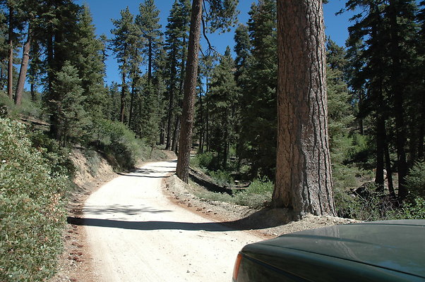 DSC 0199
