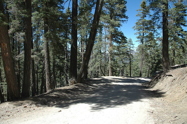 DSC 0196