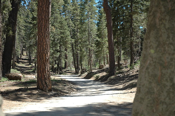 DSC 0203