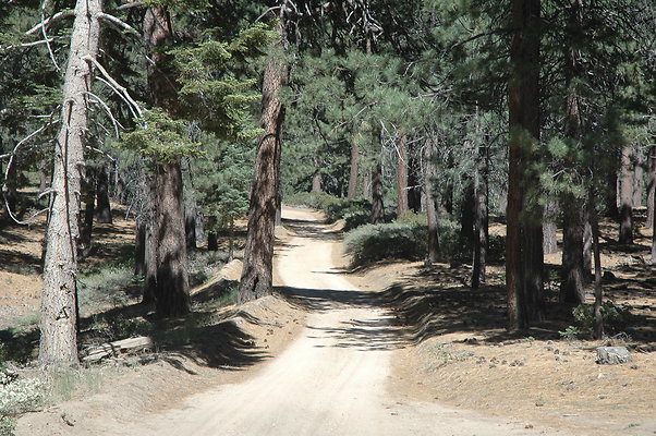 DSC 0255