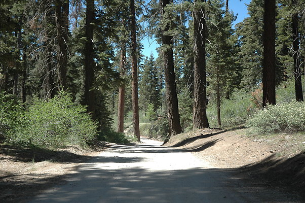 DSC 0202