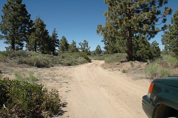 DSC 0242