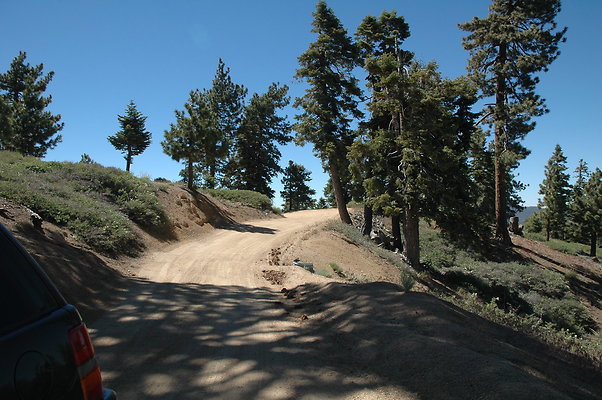 DSC 0244
