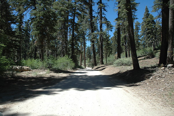 DSC 0201