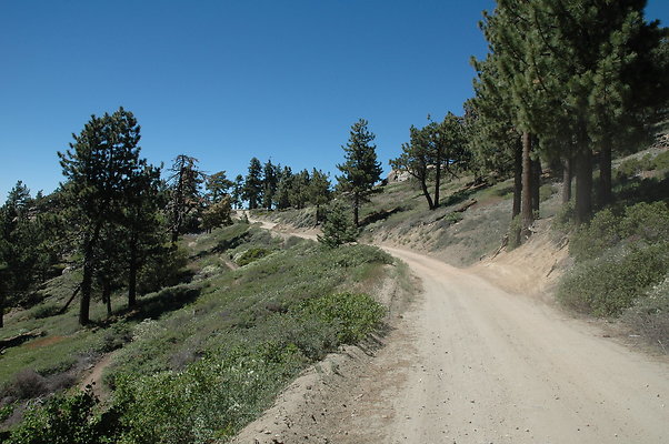 DSC 0209
