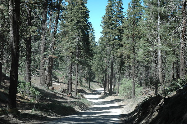 DSC 0205