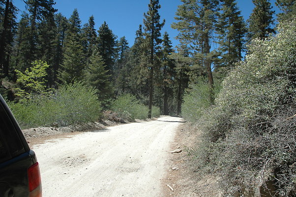 DSC 0200