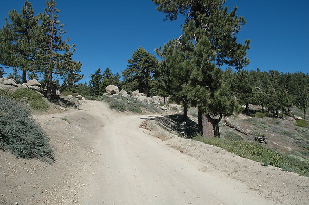 DSC 0212