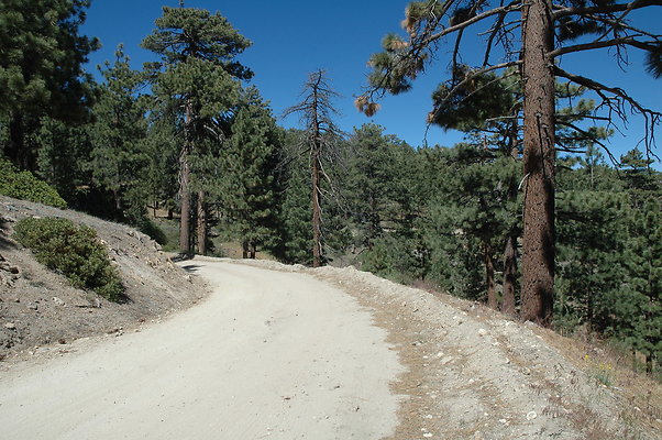 DSC 0206