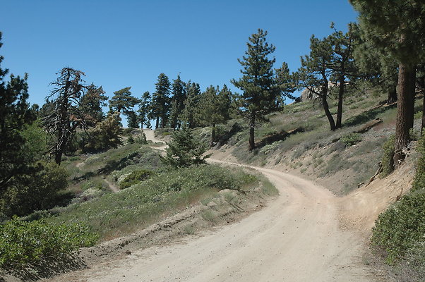 DSC 0211