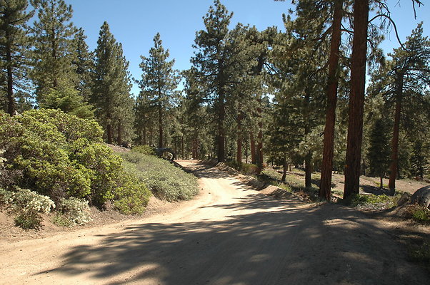 DSC 0250