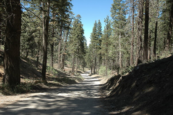 DSC 0204