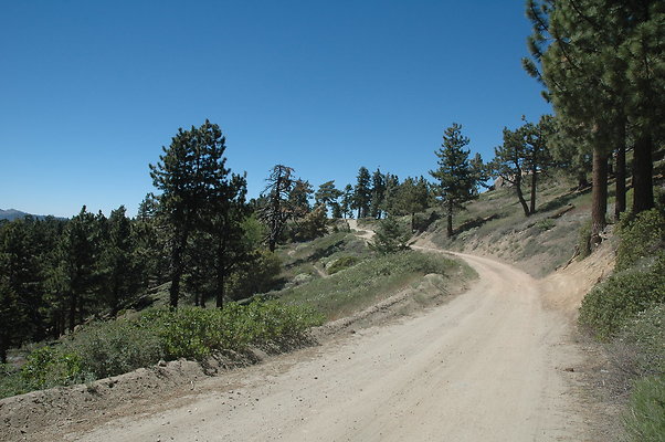 DSC 0210