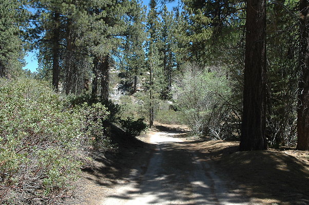 DSC 0119