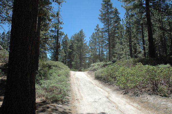 DSC 0132