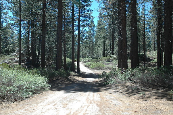 DSC 0093