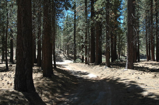 DSC 0118