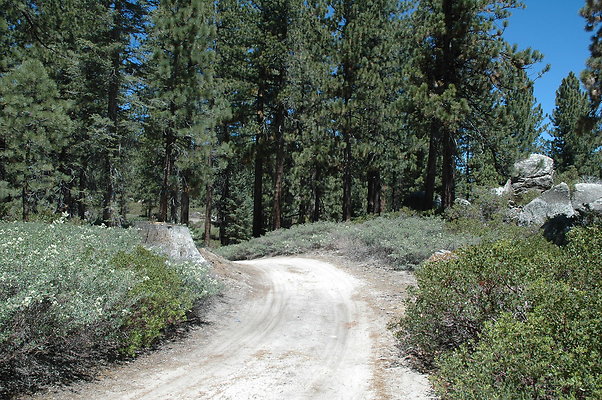 DSC 0126