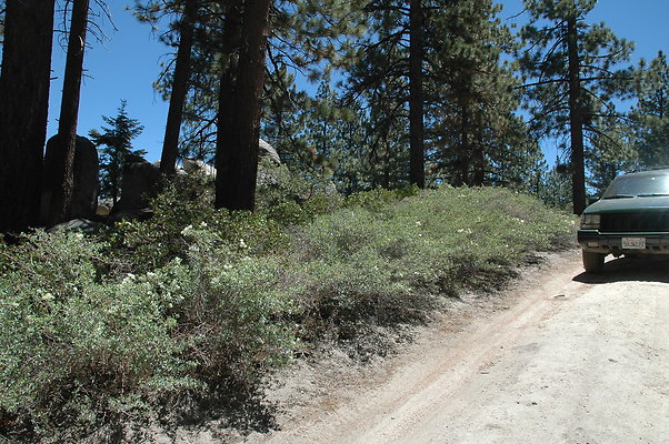 DSC 0129