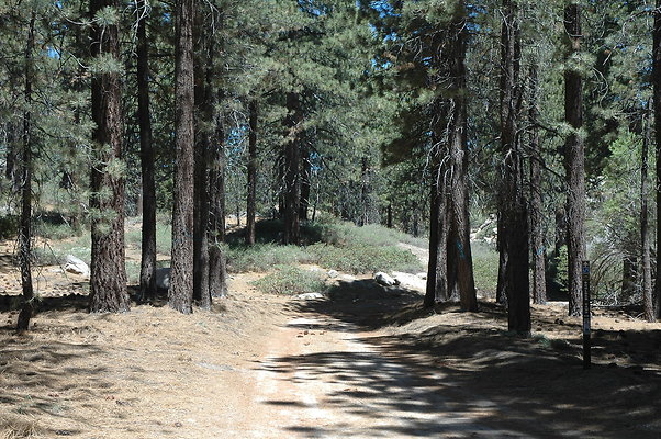 DSC 0116