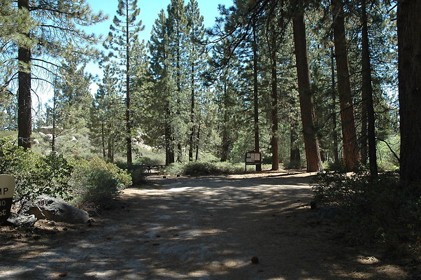 DSC 0092