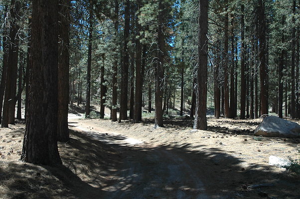 DSC 0117
