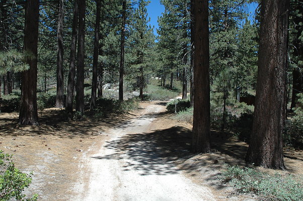 DSC 0131