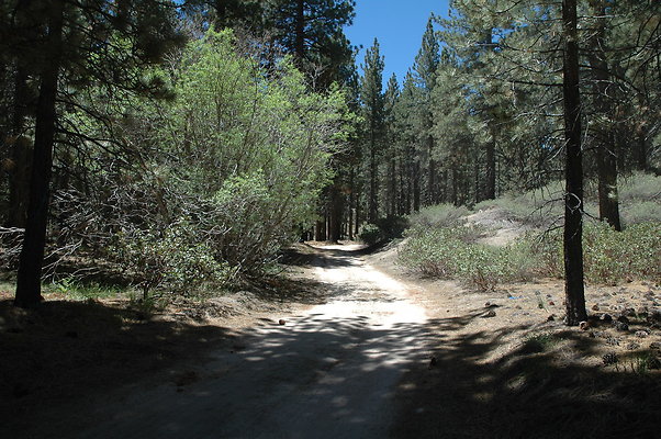 DSC 0120