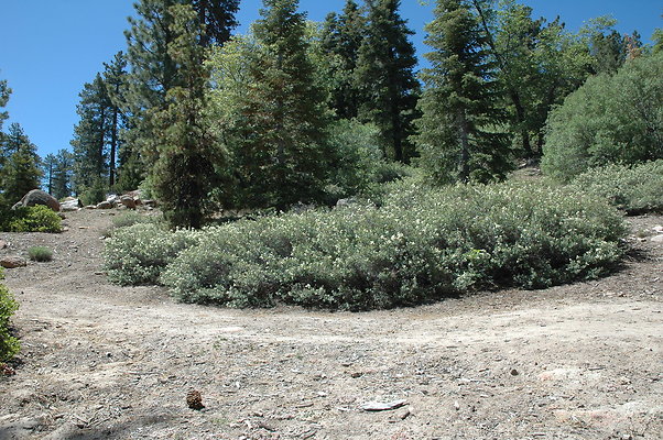 DSC 0082