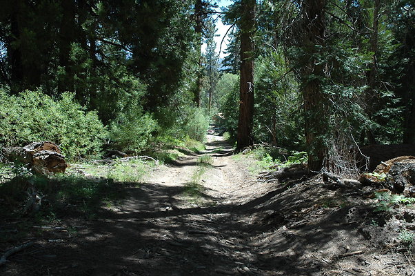 DSC 0077