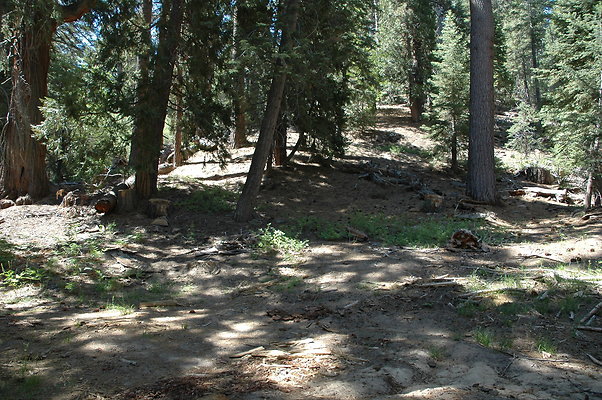 DSC 0078