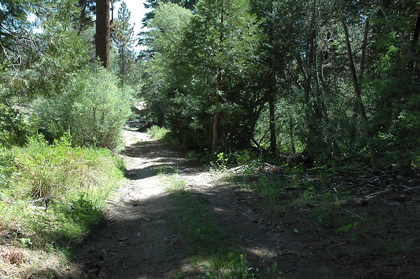 DSC 0076