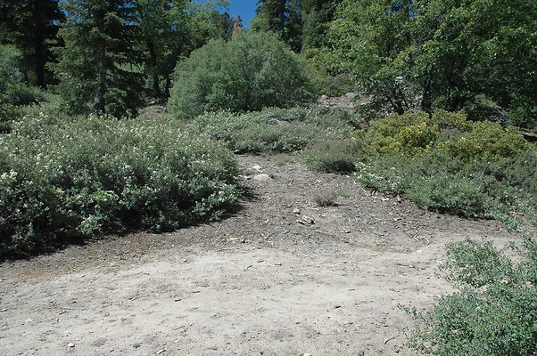 DSC 0080