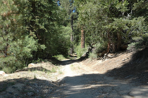 DSC 0072