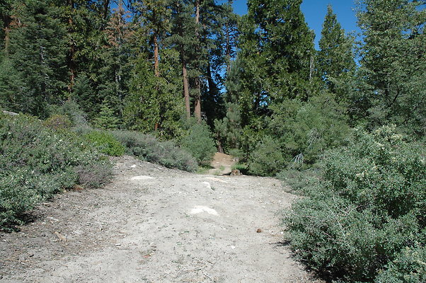 DSC 0079