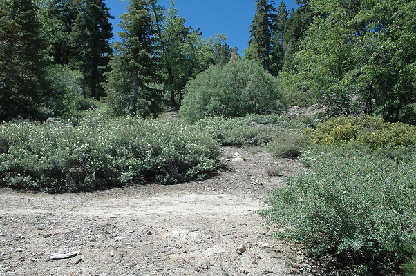 DSC 0081