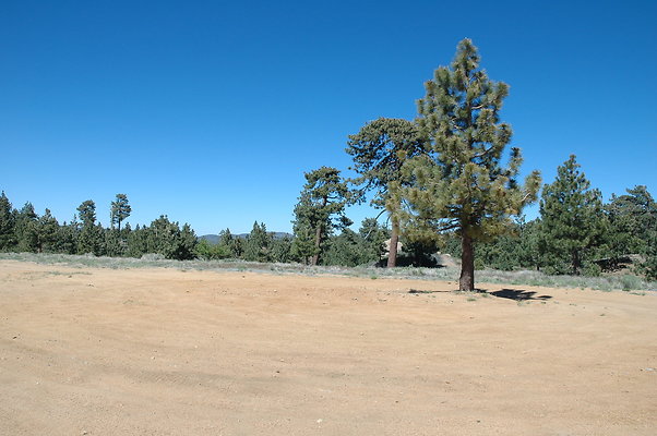 DSC 0215