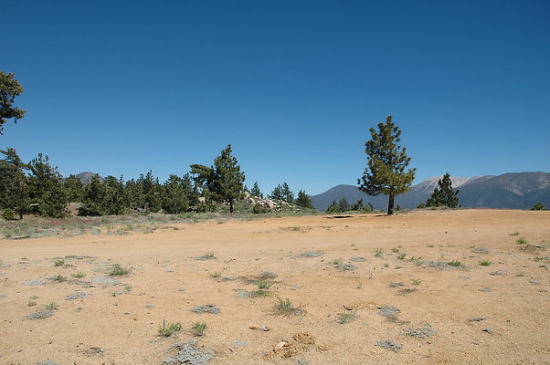 DSC 0236