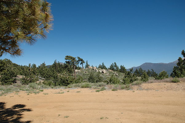 DSC 0220