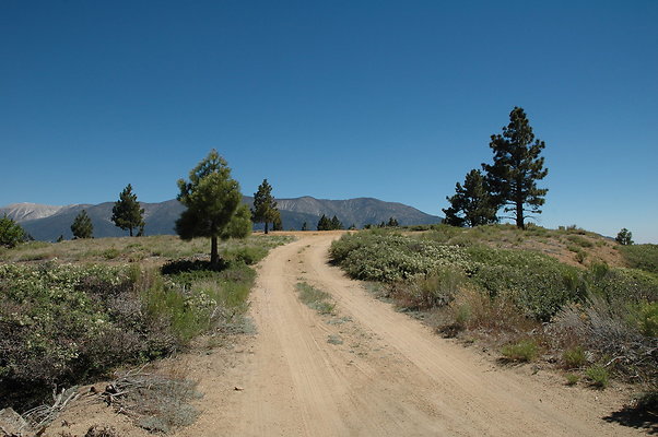 DSC 0240
