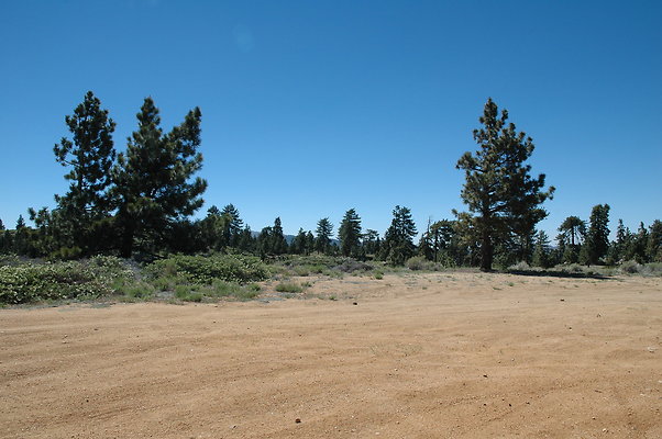 DSC 0225