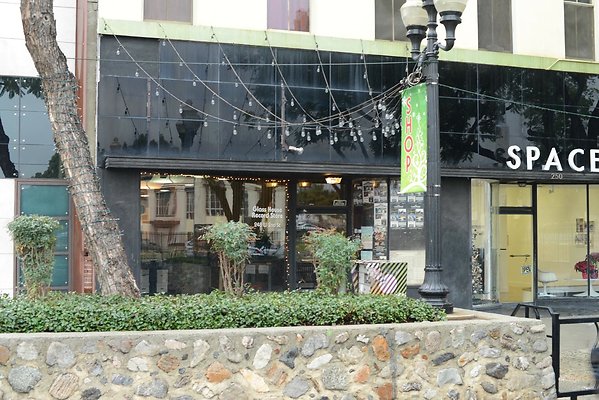 DSC 5590