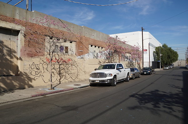DSC09582
