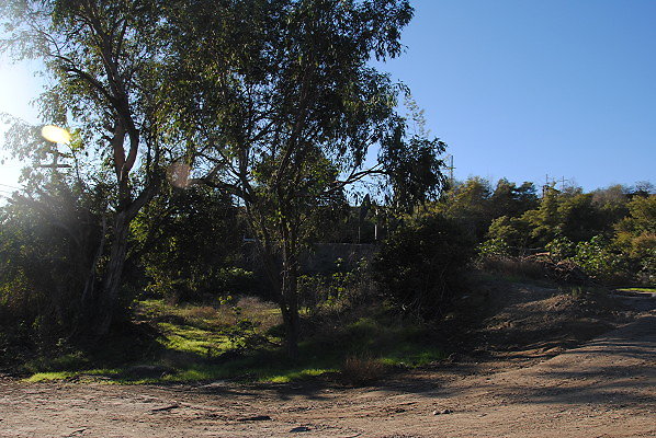 DSC 0094