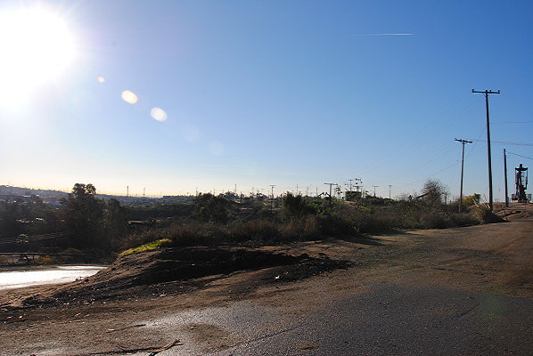 DSC 0148