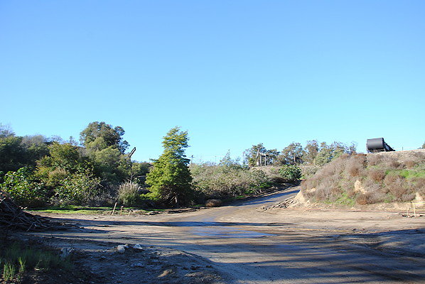 DSC 0098