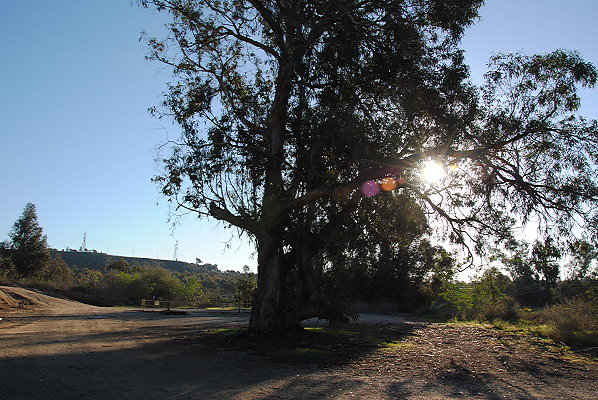 DSC 0073